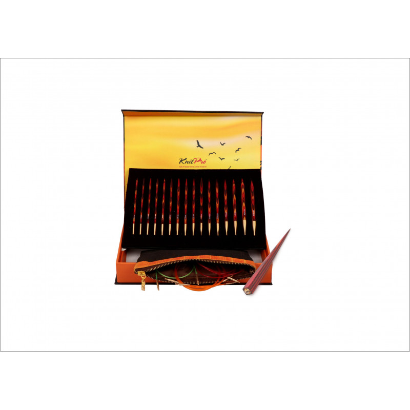 KnitPro the Golden Light especial Edition sinfonía madera aguja puntas set 20635 