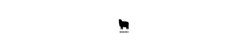 Merino Sheep's Wool